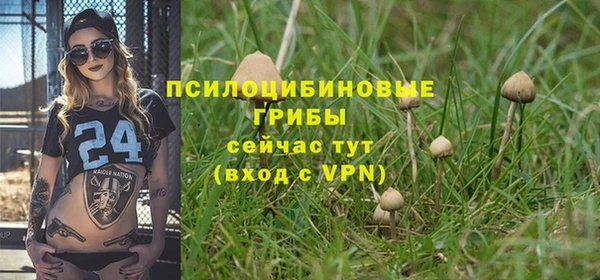 прущие крисы Красноперекопск
