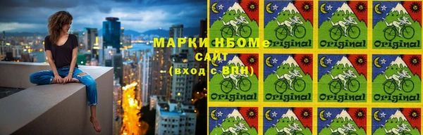 СК Краснослободск