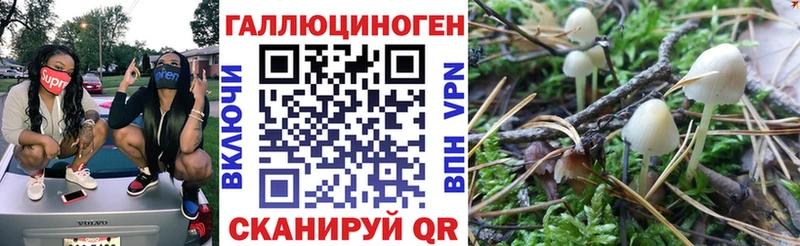 Псилоцибиновые грибы прущие грибы  Купить закладки  Бакал 